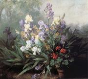 Barbara Bodichon Landscape with Irises china oil painting reproduction